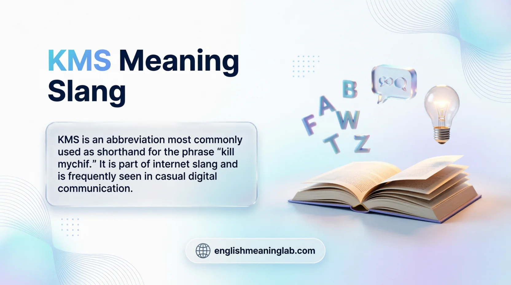 KMS Meaning Slang
