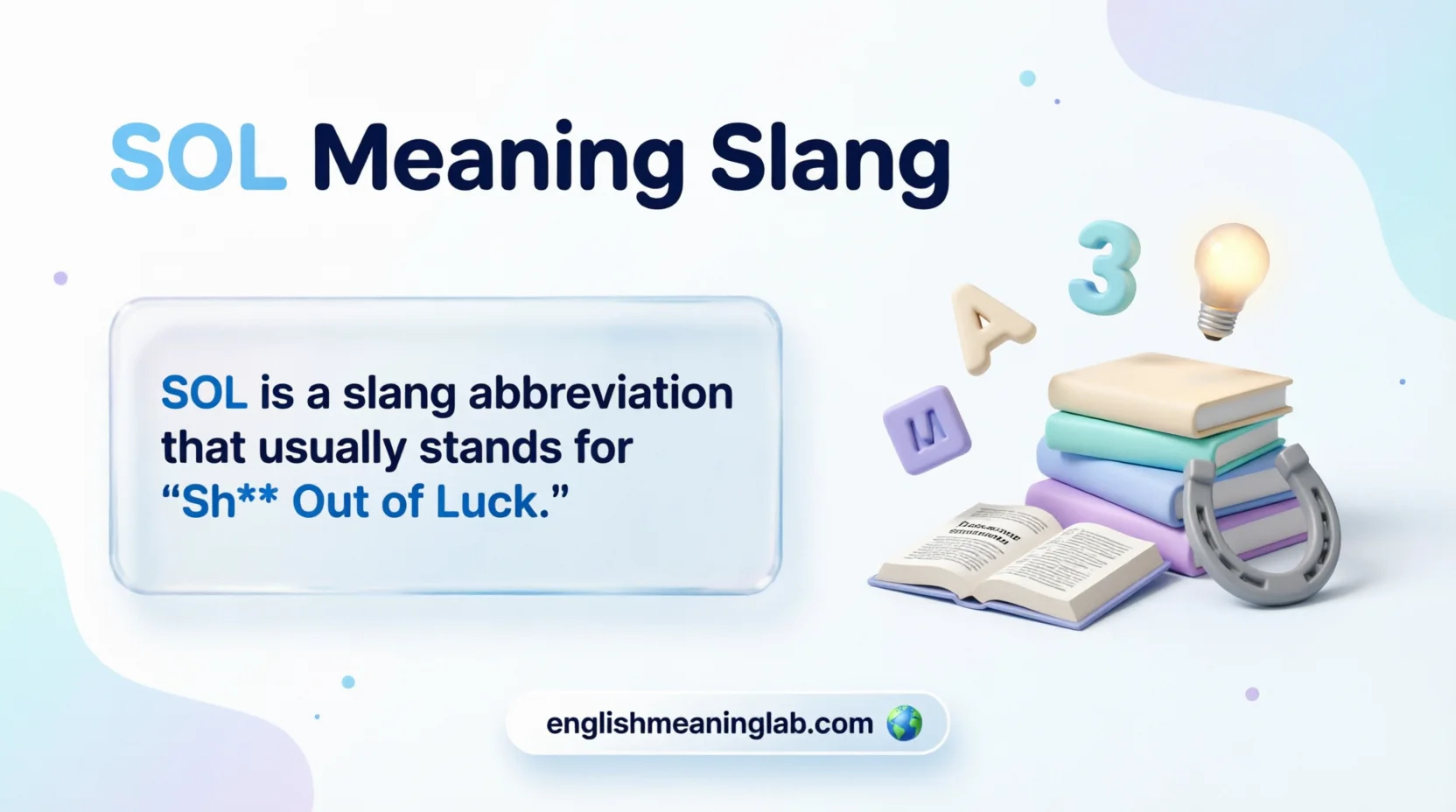 SOL Meaning Slang